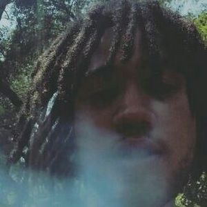 Meet your Posher, Niko